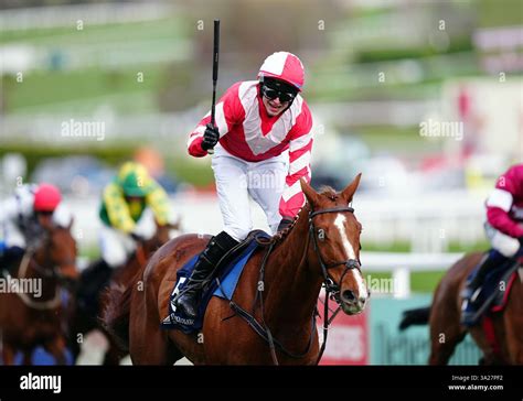 Brown Advisory Novices' Chase 2025 .